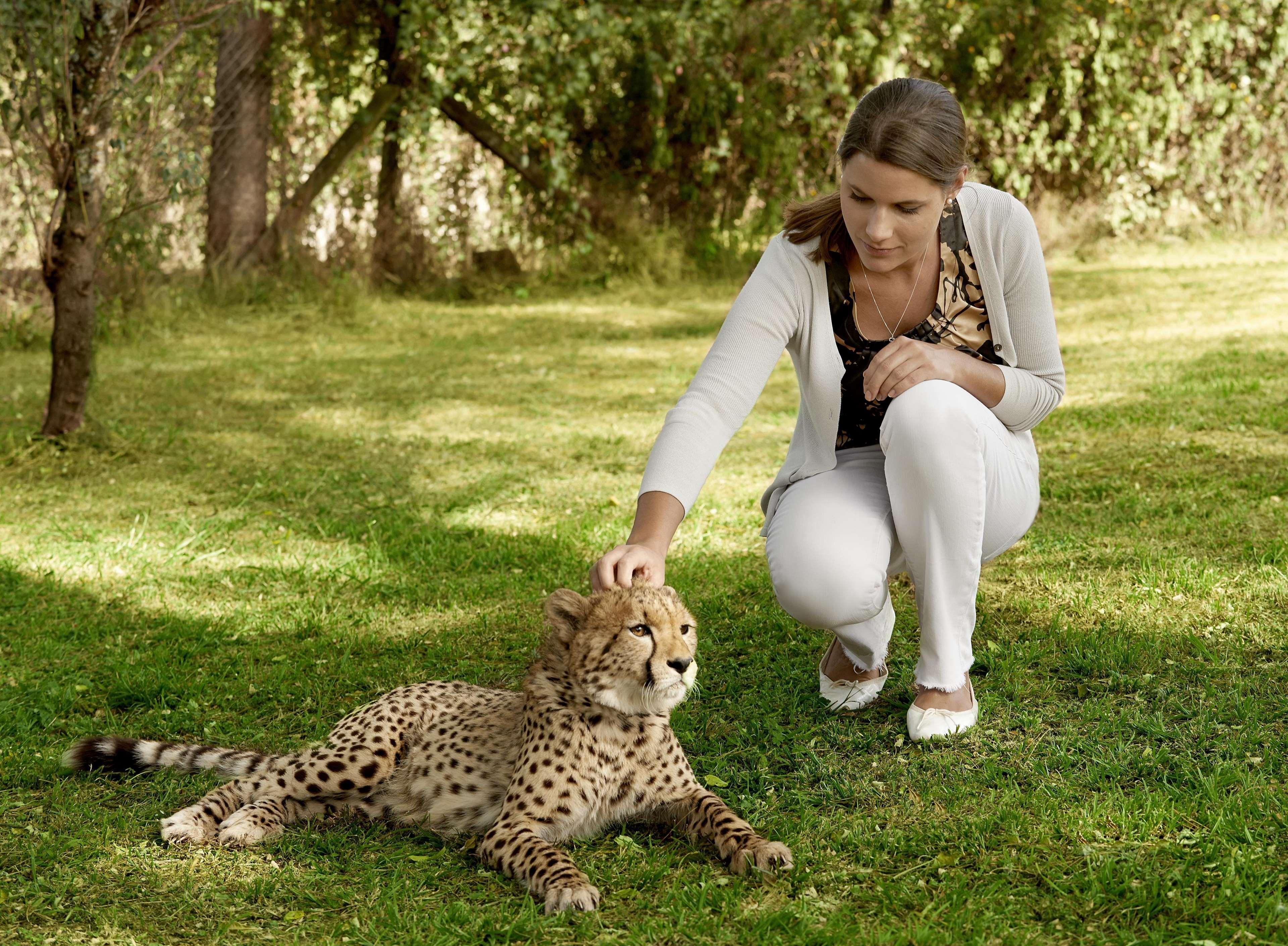 Fairmont Mount Kenya Safari Club Otel Nanyuki Dış mekan fotoğraf